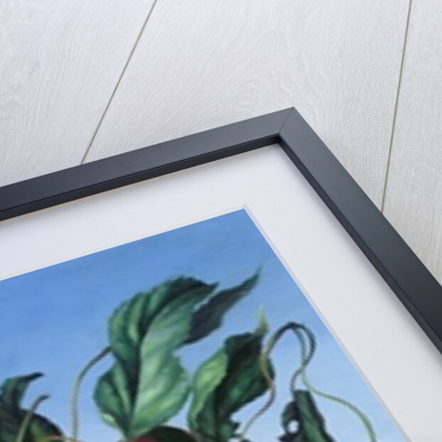 Cherries in terracotta with blue flower by Amelia Kleiser