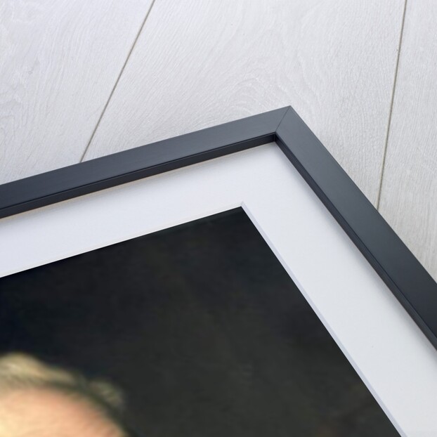 James Buchanan by Augustus J. Beck