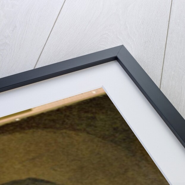 William Penn in Armour, aged 22, 1666 by English School