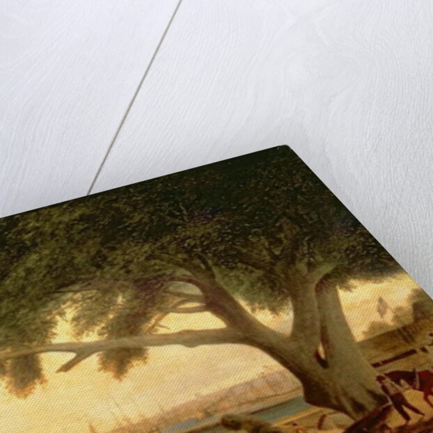 Penn's Treaty Tree by Thomas Birch