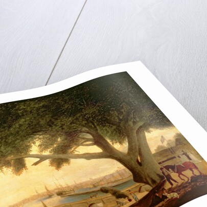 Penn's Treaty Tree by Thomas Birch