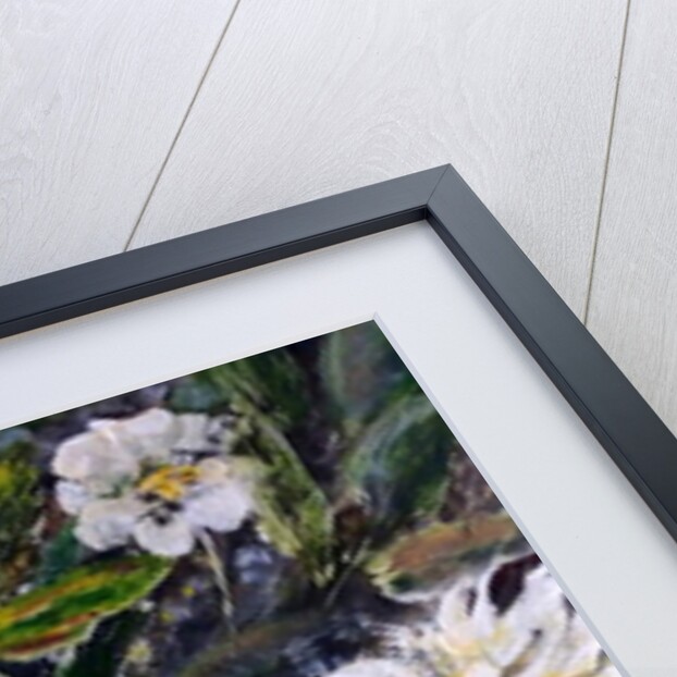 bleeding peony, 2017 by jocasta shakespeare