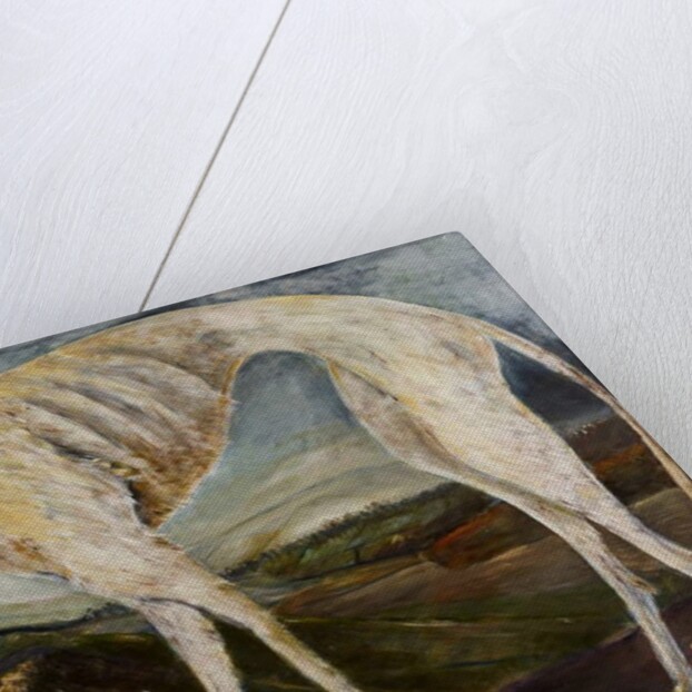 Gothic Hound, 2017 by jocasta shakespeare