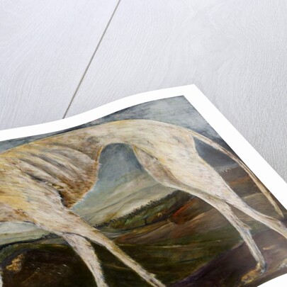 Gothic Hound, 2017 by jocasta shakespeare