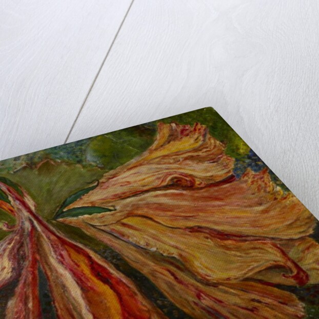 Hibiscus Wilt, 2017 by jocasta shakespeare