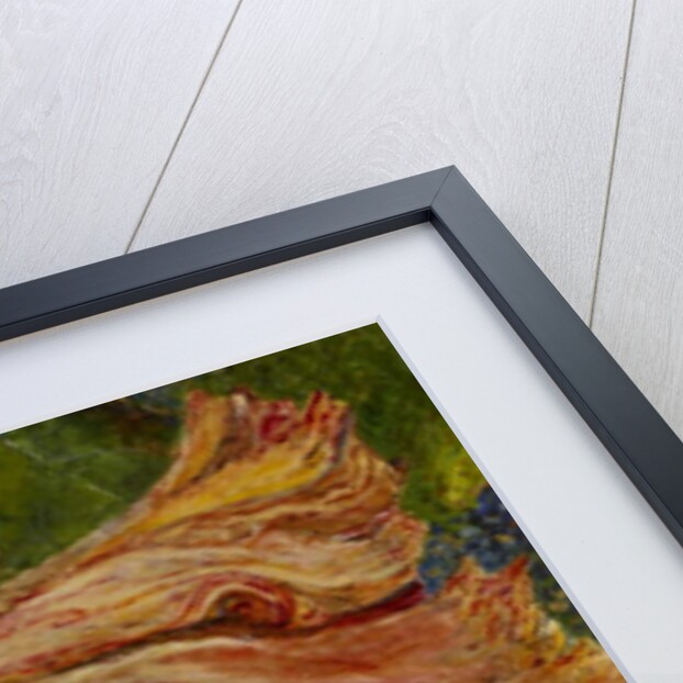 Hibiscus Wilt, 2017 by jocasta shakespeare