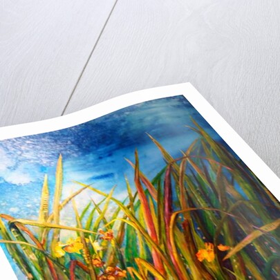 wild iris water snake, 2017 by jocasta shakespeare