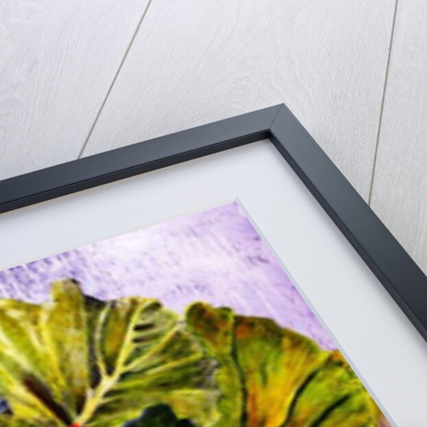 rhubarb, 2016 by jocasta shakespeare