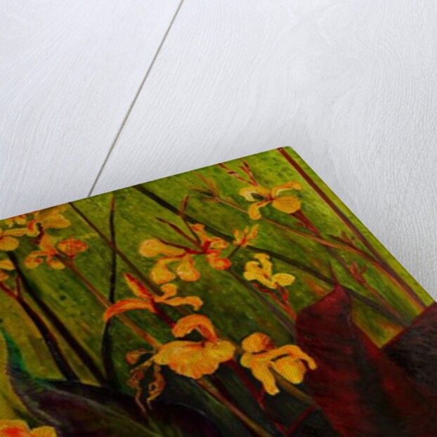 Canna Lily, 2017 by jocasta shakespeare