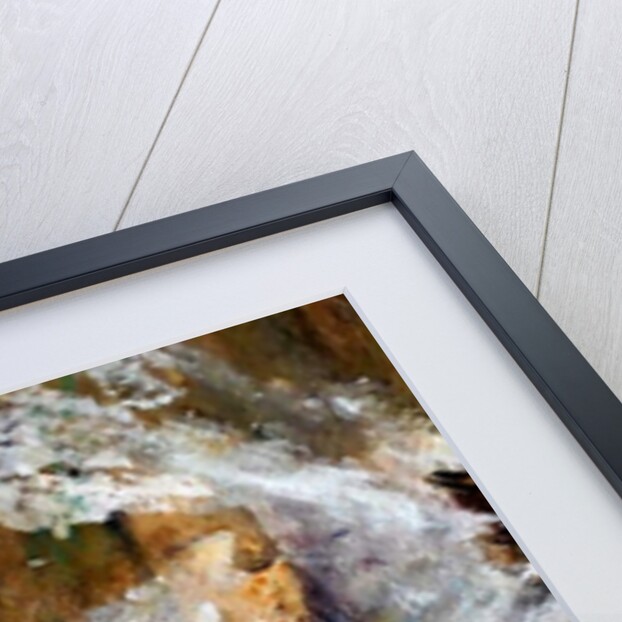 fish oils, 2020 by jocasta shakespeare