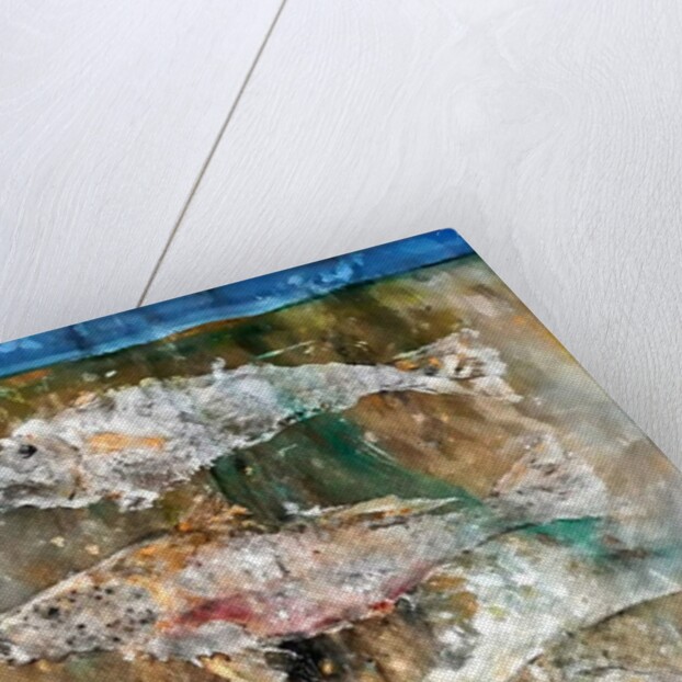 Fish Rising detail 3, 2018 by jocasta shakespeare