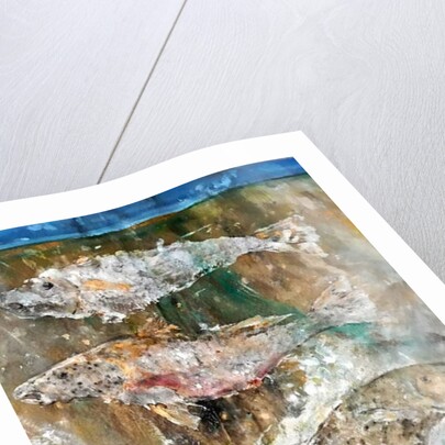 Fish Rising detail 3, 2018 by jocasta shakespeare