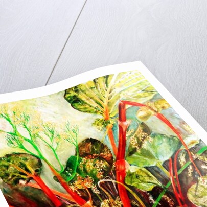 Flowering Rhubarb, 2018 by jocasta shakespeare