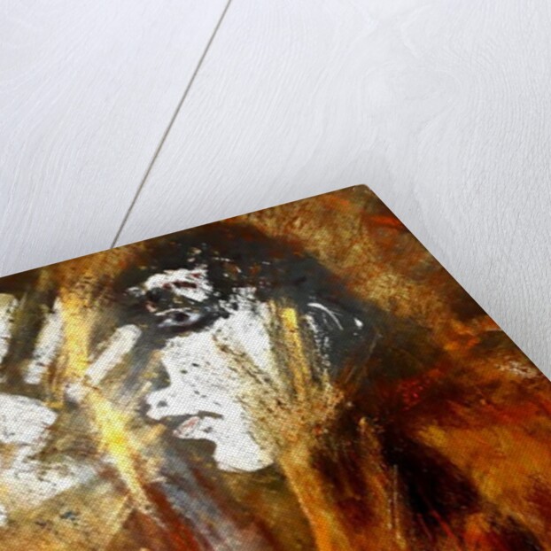 Witch Burning, 2017 by jocasta shakespeare