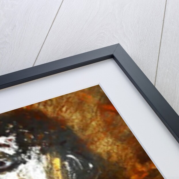 Witch Burning, 2017 by jocasta shakespeare