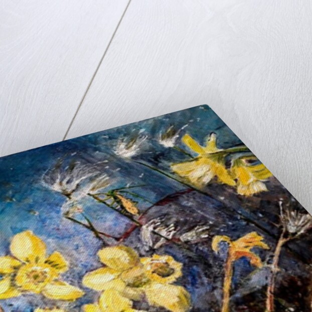 wild daffodils, 2018 by jocasta shakespeare