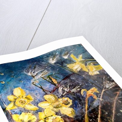 wild daffodils, 2018 by jocasta shakespeare