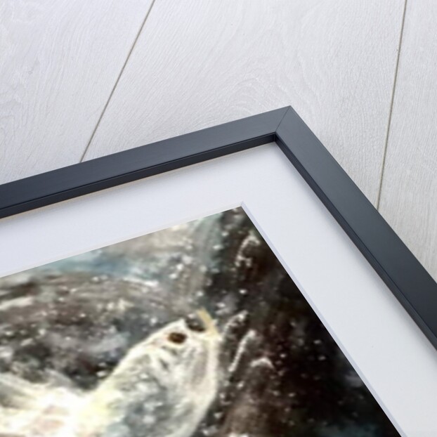 Tarpon, 2019 by jocasta shakespeare