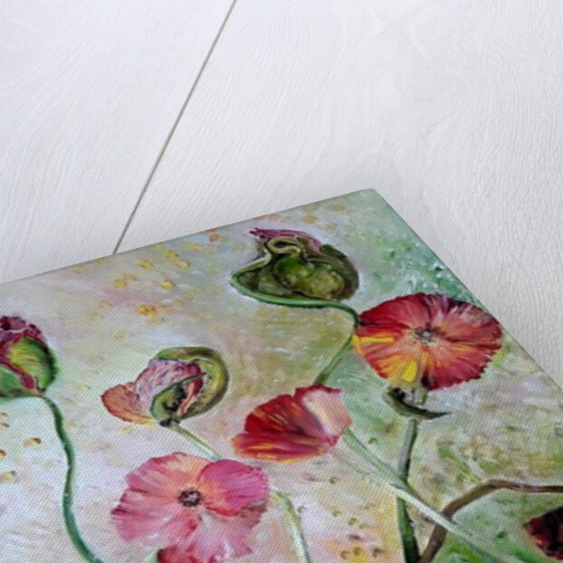 Poppies, 2019 by jocasta shakespeare