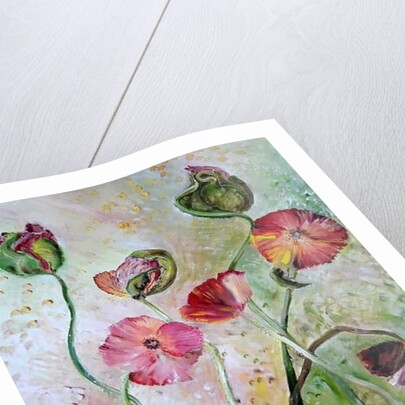 Poppies, 2019 by jocasta shakespeare