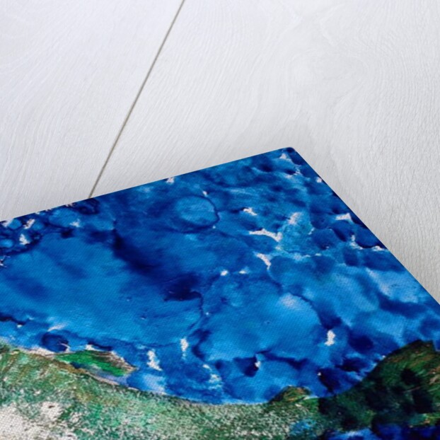 salmon, 2019 by jocasta shakespeare