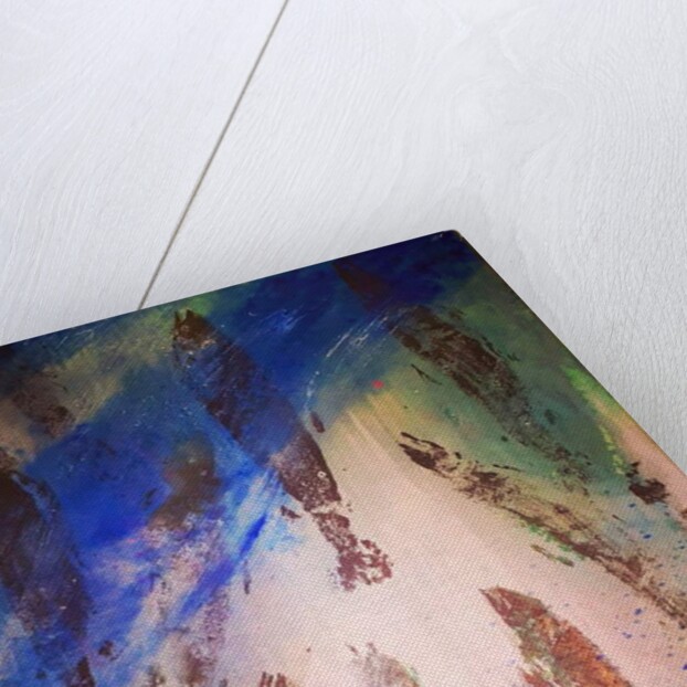 Salmon Run 1, 2019 by jocasta shakespeare