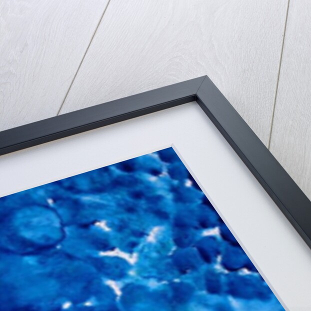 single Salmon with weed, 2019 by jocasta shakespeare