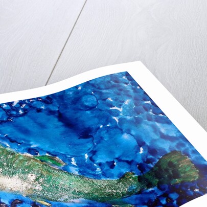 single Salmon with weed, 2019 by jocasta shakespeare