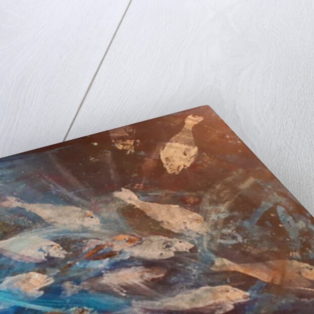 fish, 2019 by jocasta shakespeare