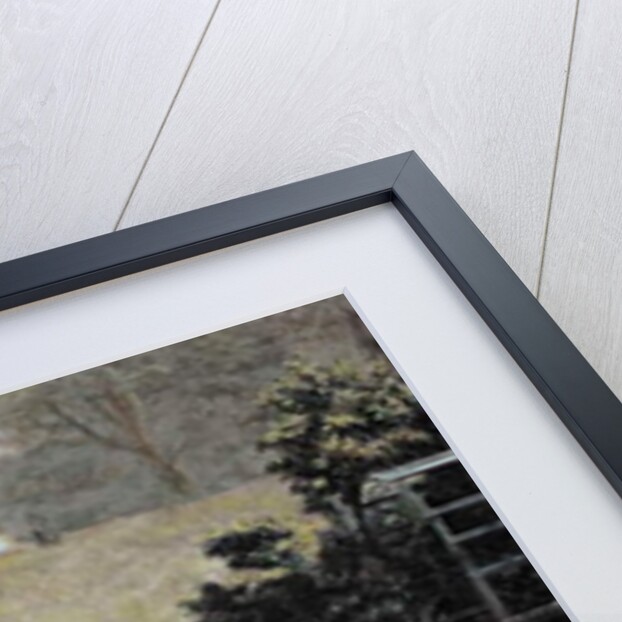 The Cactus Lover, before 1858 by Carl Spitzweg