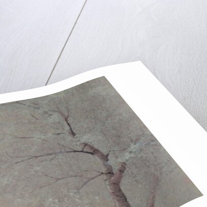 Silence, 2017 by Angus Hampel