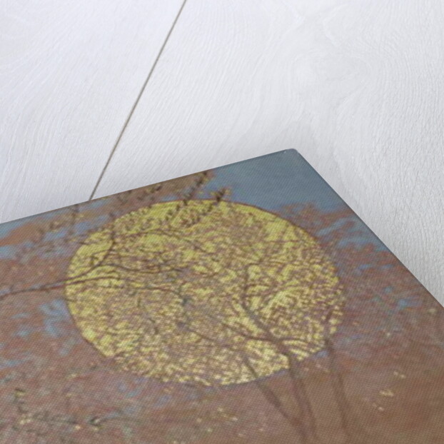 Enthusiasm, 2015 by Angus Hampel