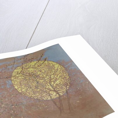 Enthusiasm, 2015 by Angus Hampel