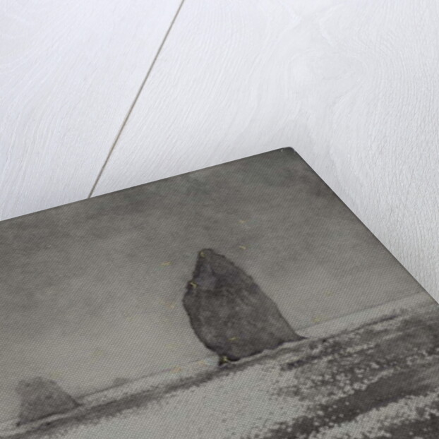 Trinity, 2017 by Angus Hampel