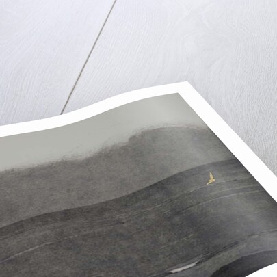 Silent flight, 2017 by Angus Hampel