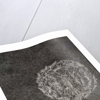 Watchmaker, 2017 by Angus Hampel