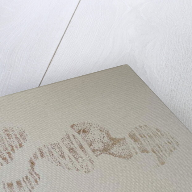 Murmuration of trees, 2017 by Angus Hampel