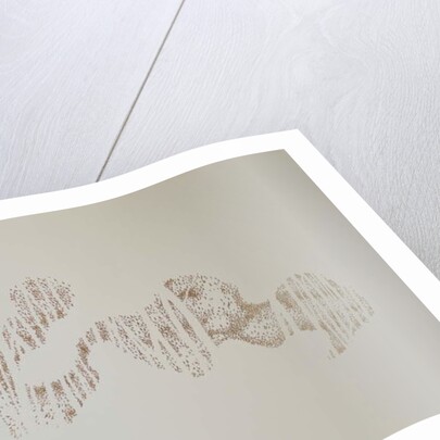 Murmuration of trees, 2017 by Angus Hampel