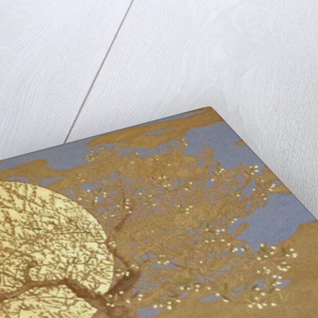 Wisdom, 2016 by Angus Hampel