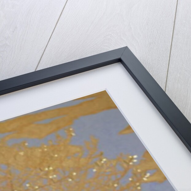 Wisdom, 2016 by Angus Hampel