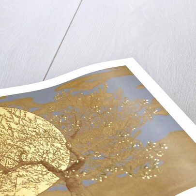 Wisdom, 2016 by Angus Hampel