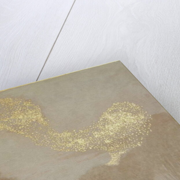 Murmuration of light, 2015 by Angus Hampel