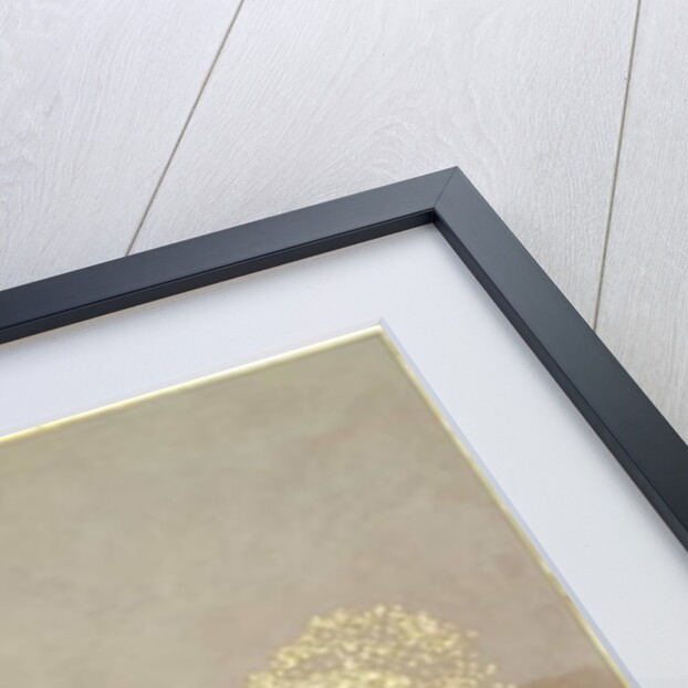 Murmuration of light, 2015 by Angus Hampel