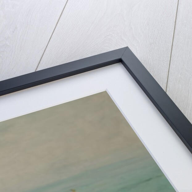 Caw! Caw!, 2017 by Angus Hampel