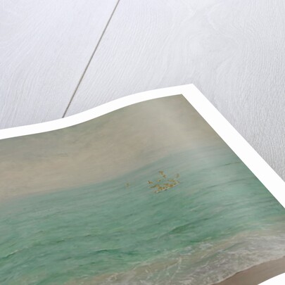 Caw! Caw!, 2017 by Angus Hampel