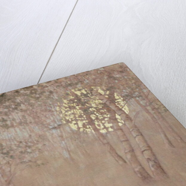 Hope, 2015 by Angus Hampel