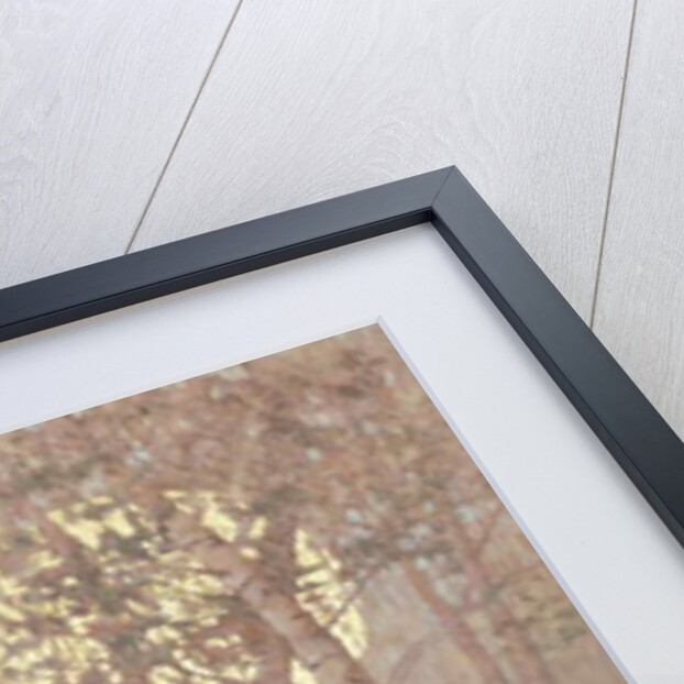 Hope, 2015 by Angus Hampel