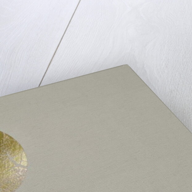 Silent olive, 2017 by Angus Hampel