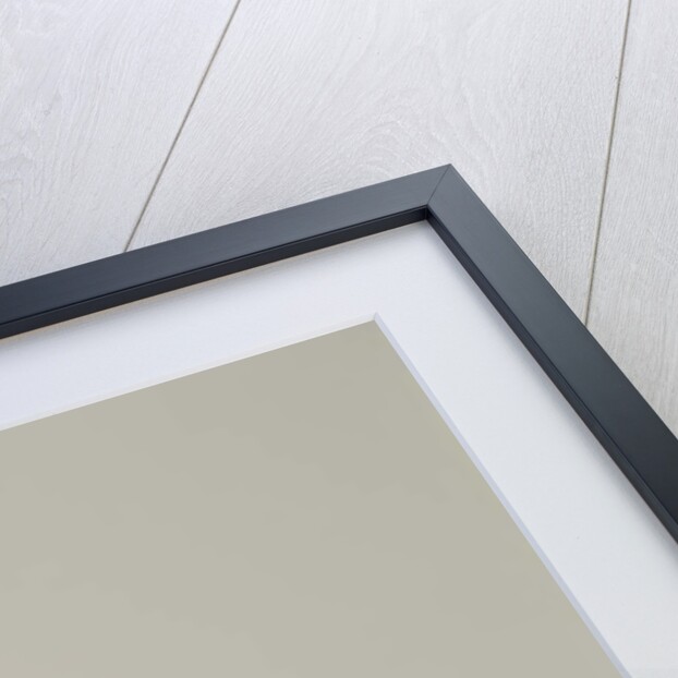 Silent olive, 2017 by Angus Hampel