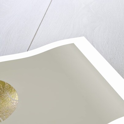 Silent olive, 2017 by Angus Hampel